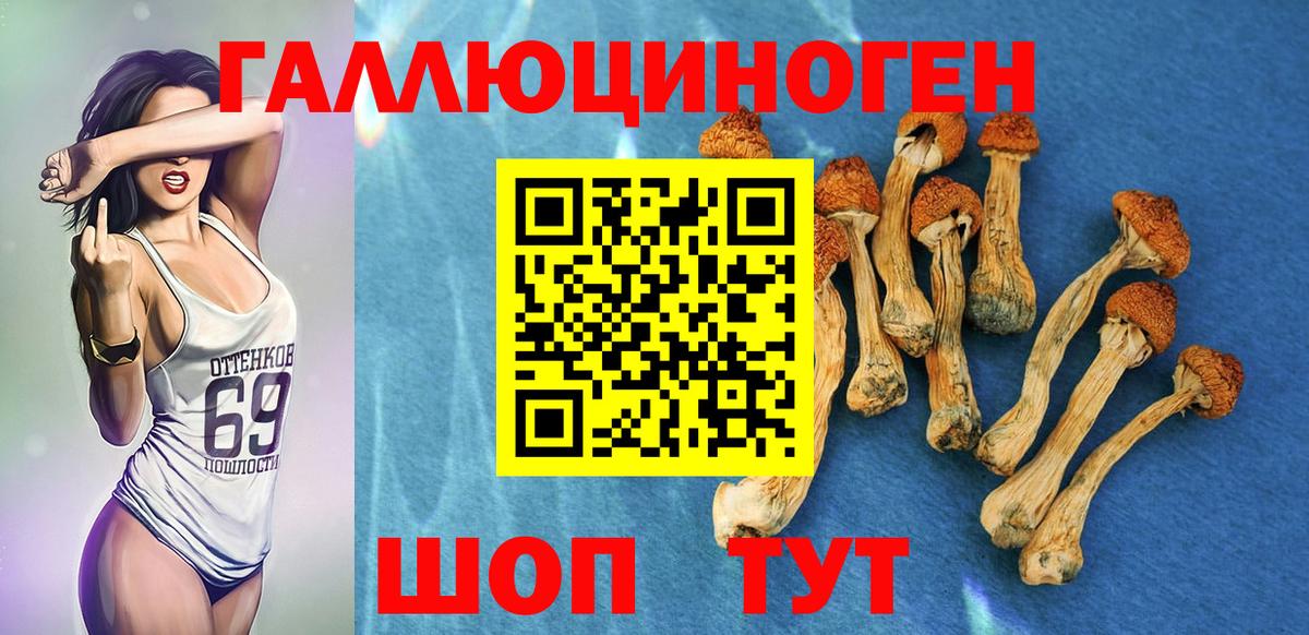 Псилоцибиновые грибы MAGIC MUSHROOMS  Вход с VPN  Псилоцибиновые грибы Psilocybe  Лысьва 